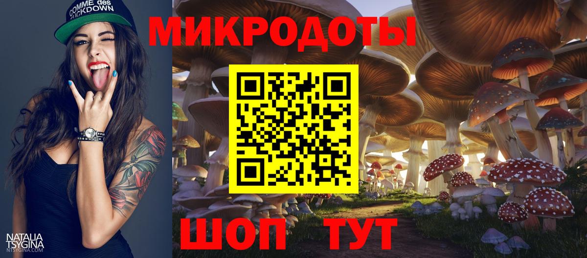 Псилоцибиновые грибы GOLDEN TEACHER Обь